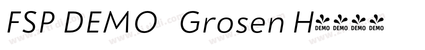 FSP DEMO   Grosen H字体转换
